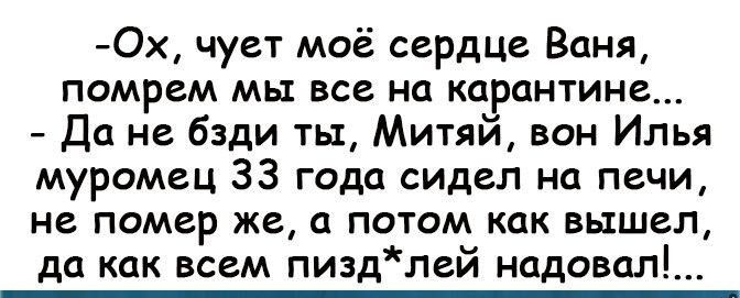 Ох чует моё сердце Ваня помрем мы все на карантине Да не бэди ты Митяй вон Илья муромец 33 года сидел на печи не помер же а потом как вышел да как всем пиздлей надовал_