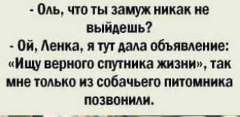 Оль что ты замуж никак не выйдешь Ой Авиа и тут дада объямение Или верного спутника жизни так мне тодько из собачьего питомника позвонили