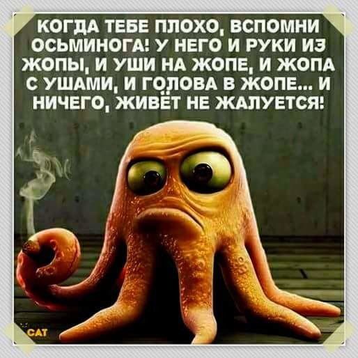 когм ТЕБЕ плохо вспомни осьминогА у него и руки из жопы и уши нд жопе и жом УШАМИ и гцровд в жопе и ничего живет не жинется
