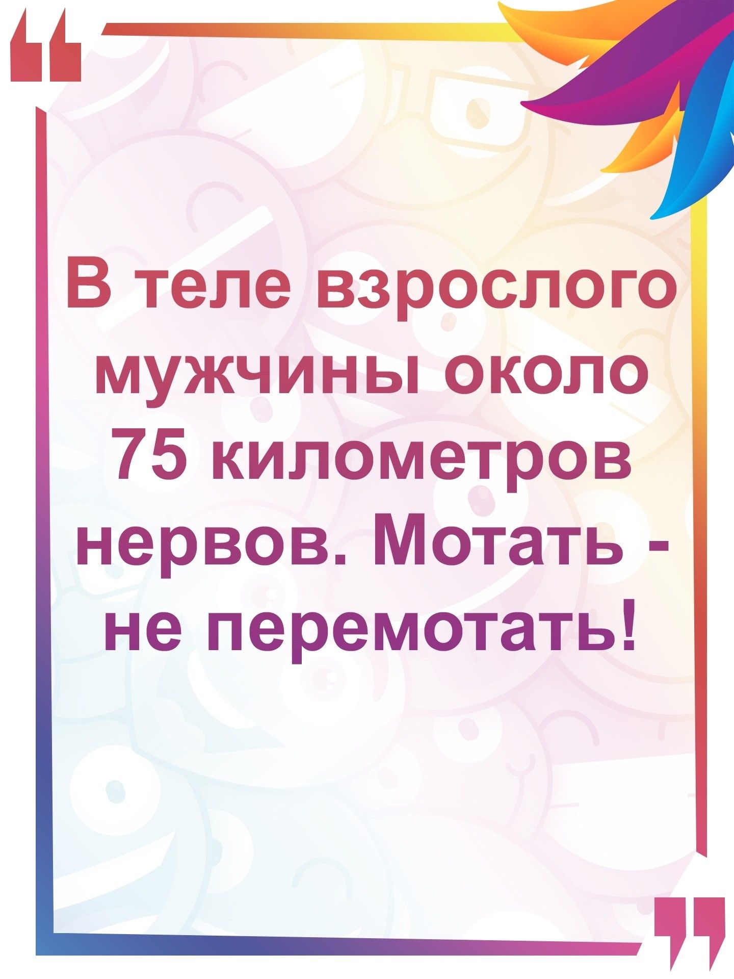В теле взрослого мужчины около 75 километров нервов Мотать не перемотать