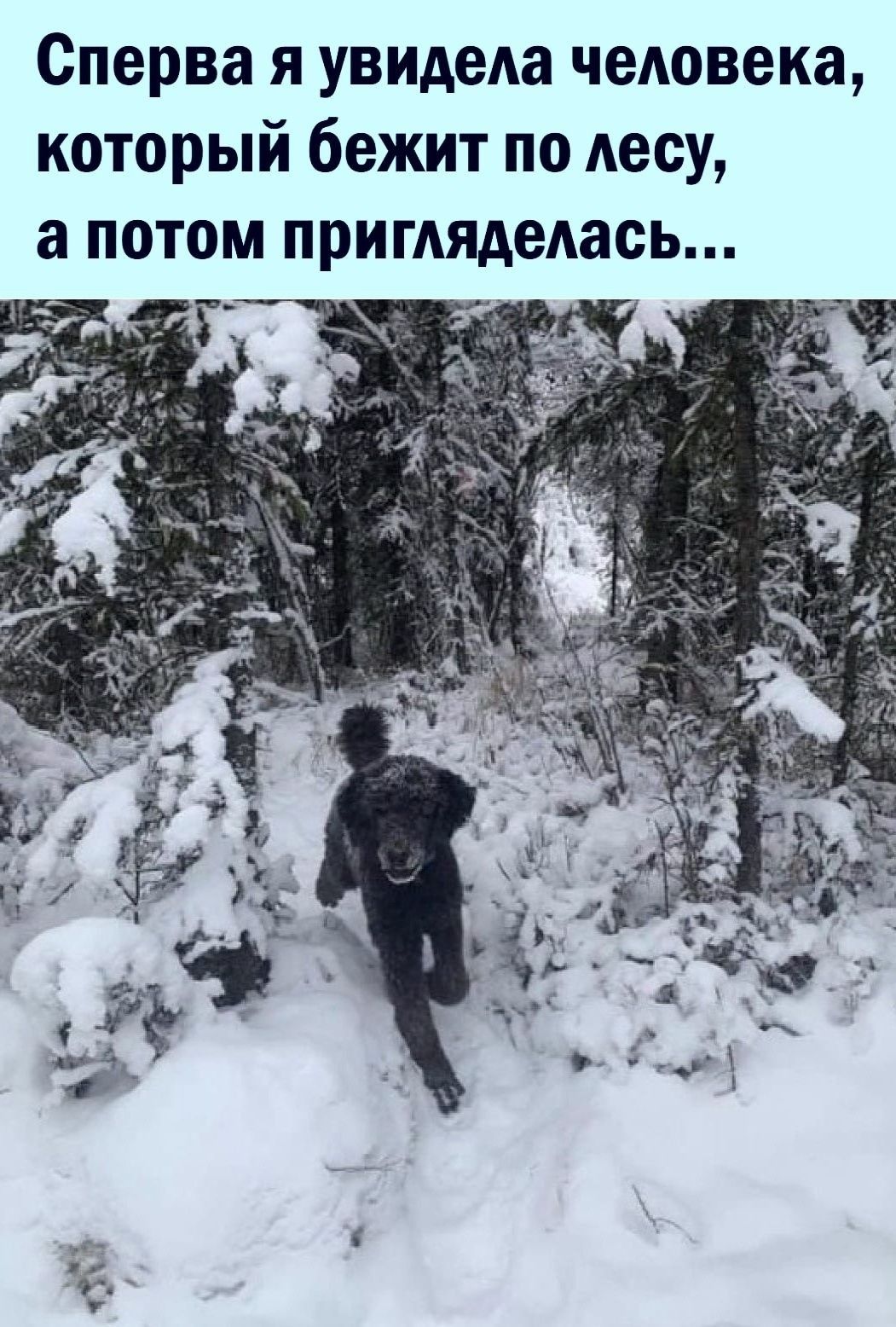 Сперва я увидеАа чеАовека который бежит по лесу а потом приглядедась т __ аж 4