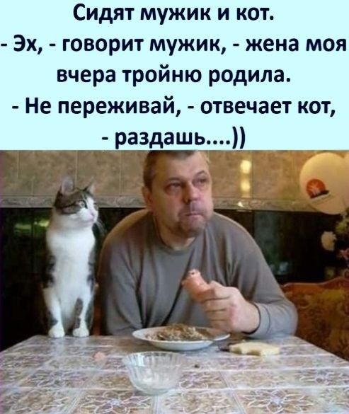 Сидят мужик и кот Эх говорит мужик жена моя вчера тройню родила Не переживай отвечает кот аздашьддіъ _