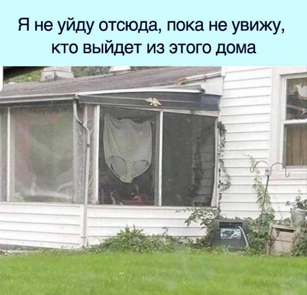 Я не уйду отсюда пока не увижу кто выйдет из этого дома