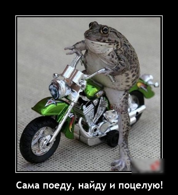 Сама поеду найду и поцелую