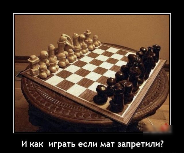 И как играть если мат запретили