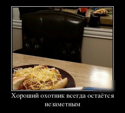 Хороший охотъшк всегда остаётся незаметным