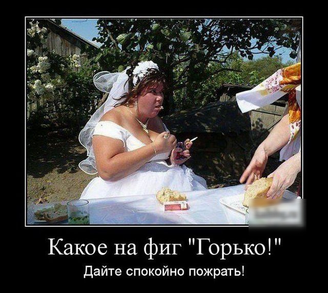Какое на фиг Горько Дайте спокойно пожрать