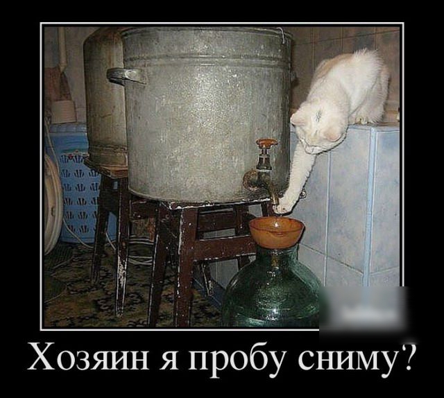 ъ Хозяин я пробу сниму