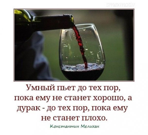 Умный пьет до тех пор пока ему не станет хорошо дурак до тех пор пока ему не станет плохо Константин Мышкин