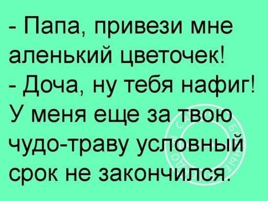 Папа привези мне апенький цветочек Доча ну тебя нафиг У меня еще за твою чудотраву условный срок не закончился