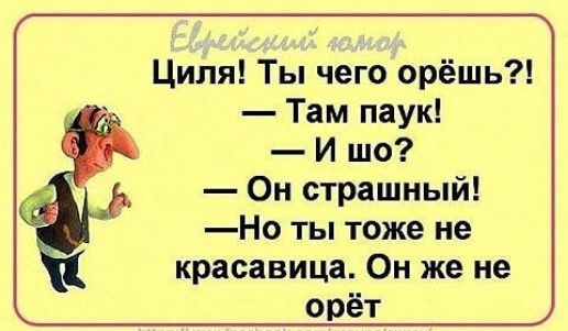 Циля Ты чего орёшь Там паук И шо Он страшный Но ты тоже не красавица Он же не орёт