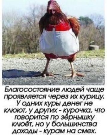 Едатосостояниелюдейчшие тоямяетсячервзшкурииу Ушчшкурыденегнв ювЬЪится чтчто по ышку клюёъноуболыиинства дамы Куртинасмех