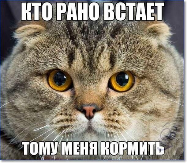 итшно А отцы