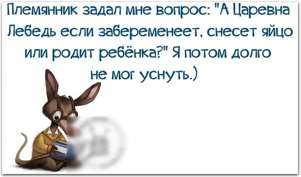 Племянник задал мне вопрос А Царевна Лебедь если забеременеет снесет яйцо ипи родит ребёнка Я потом долго не мог уснуть