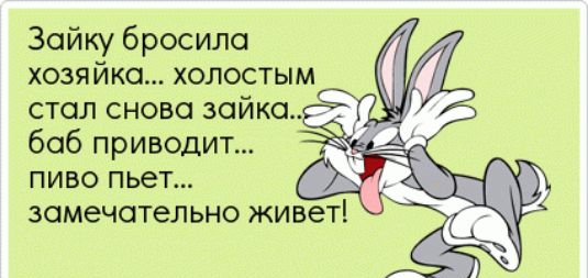 Зайку бросило хозяйка холостым стал снова зайка баб приводит пиво пьет
