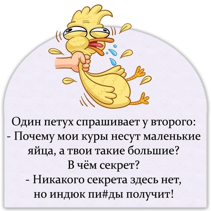 Один петух спрашивает у второго Почему мои куры несут маленькие яйца а твои такие большие В чём секрет Никакого секрета здесь нет но индюк пиды получит