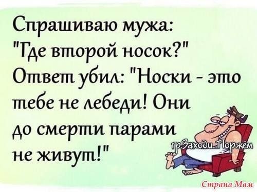 Спрашиваю мужа Где второй носок Ответ убил Носки это тебе не лебеди Они Стрип и и