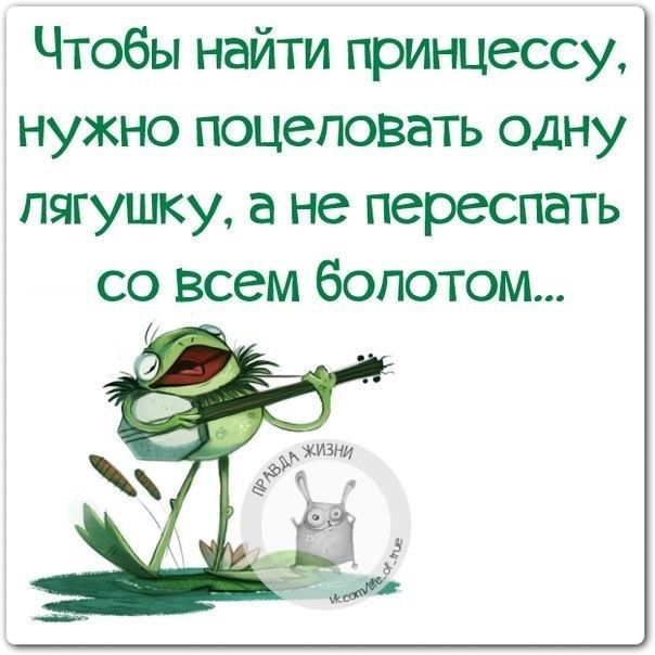 Чтобы найти принцессу нужно поцеловать одну лягушку а не переспать со всем болотом