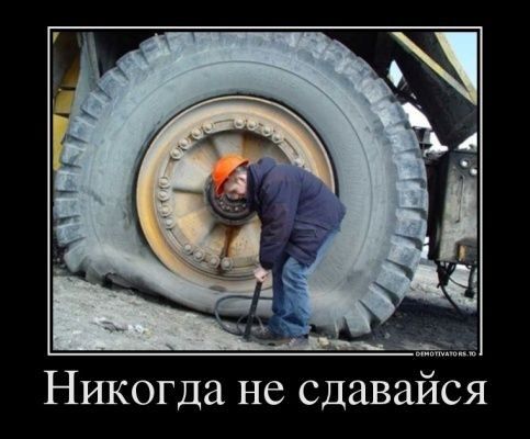Никогда не сдавайся