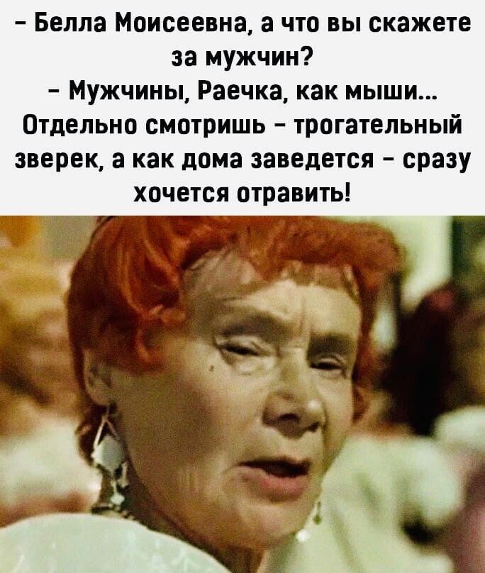 Белла Моисеевна а что вы скажете за мужчин Мужчины Раечка как мыши Отдельно смотришь трогательный зверек а как дома заведется сразу хочется отравить