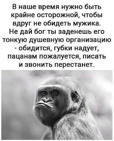 В наше время нужно быть крайне осторожной чтобы вдруг не обидеть мужика Не дай бог ты заденешь его тонкую душевную организацию обидится губки надует пацанам пожалуется писать И ЗВОНИТЬ перестанет