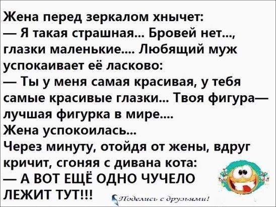 Жена перед зеркалом хнычет Я такая страшная Бровей нет глазки маленькие Любящий муж успокаивает её ласково Ты у меня самая красивая у тебя самые красивые глазки Твоя фигура лучшая фигурка в мире Жена успокоилась Через минуту отойдя от жены вдруг кричит сгоняя с дивана кота А ВОТ ЕЩЁ ОДНО ЧУЧЕЛО ЛЕЖИТ ТУТ __у