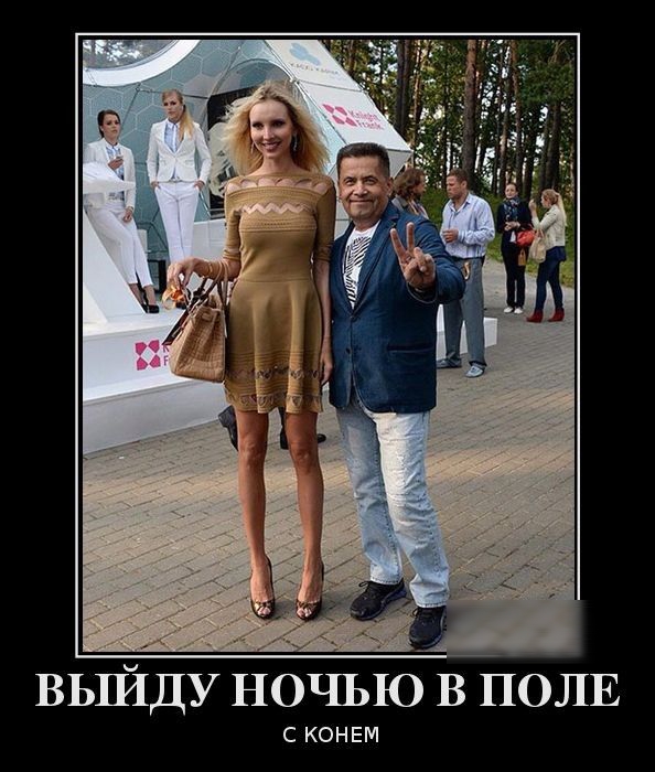 ВЬШДУ НОЧЬЮ В ПОЛЕ С КОНЕМ