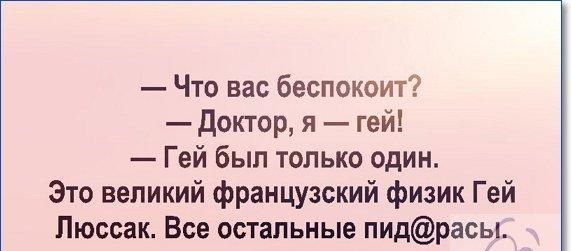 Что вас беспокоит доктор я гей Гей был только один Это великий французский физик Гей Люссак Все остальные пидрасы