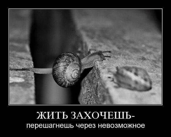 ЖИТЬ ЗАХОЧЕШЬ перешагнешь через невозможное