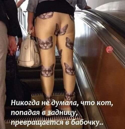 Никогда нё думййа что кот попадая в задн у у прегръ бочку