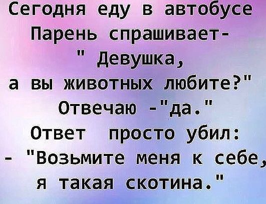 Сегодня еду в автобусе Парень спрашивает девушка а вы животных любите Отвечаю да Ответ просто убил Возьмите меня к себе я такая скотина
