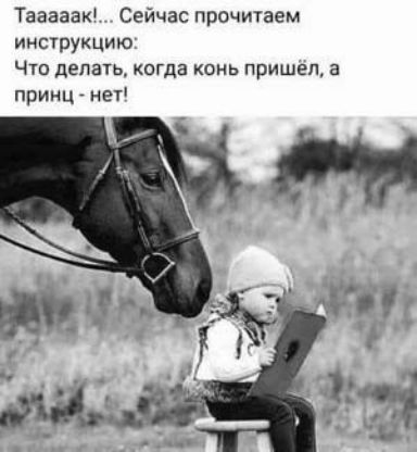 Тааааак Сейчас прочитаем инструкцию Ч70 делать КОГДЗ КОНЬ ПРИШЕЛ а принц не1