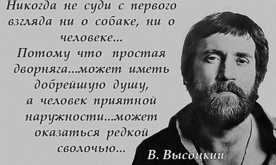 Никогда не суди с первого взгляда ни о собаке ни о человеке Потому что простая дворняшможвт иметь дабрейшую душу и человек приятной наружностииажет оказаться редкой сволочью