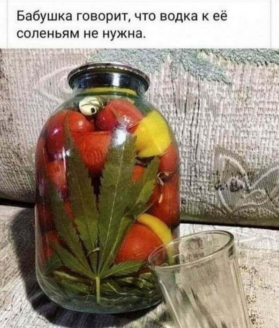 что водка к её Бабушка говорит соленьям не нужна