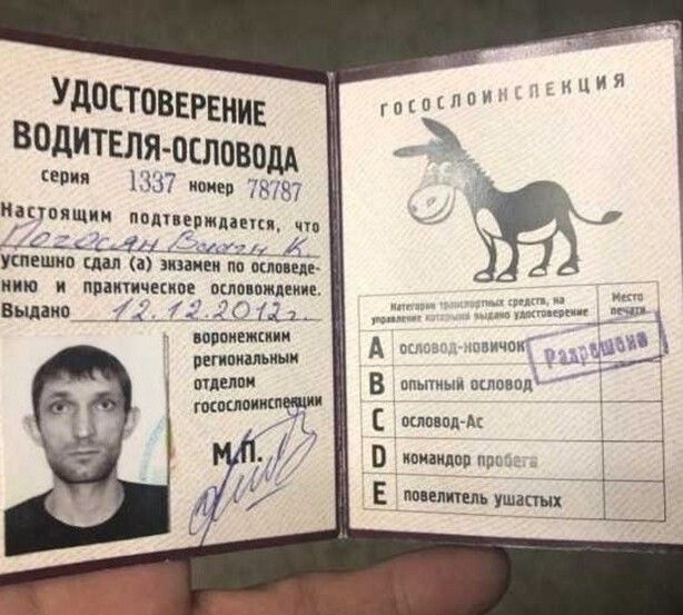 Удостовегвнид Водителя ословодд 7 и 7 исппящик пвд к __ 11 _ ушцшяо шил а эпики па вышла иию ппаишчиипе оспа пили Жизни что Был тт д и ж д поппиежкиии П пегипицьипи у впиши ппытыи основал типыоииштш пдпдм ипищпв иш по шпиль ушастых тапшч