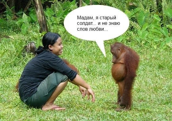 солдат и не мы