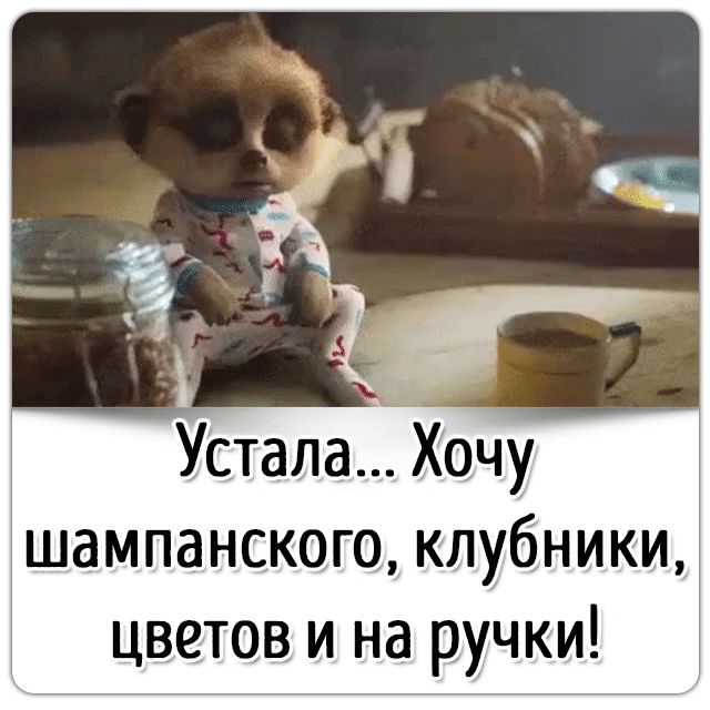 Картинка устала хочу на ручки