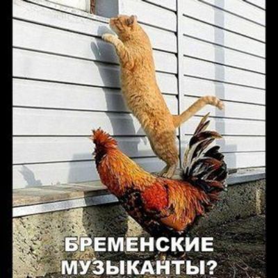 Ь __ мвнскив м ыкАйтыг