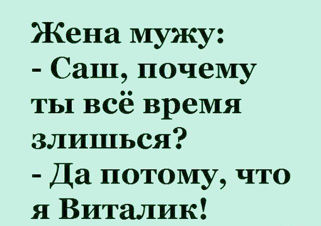 Жена мужу Саш почему ты всё время злишься Да потому что я Виталик
