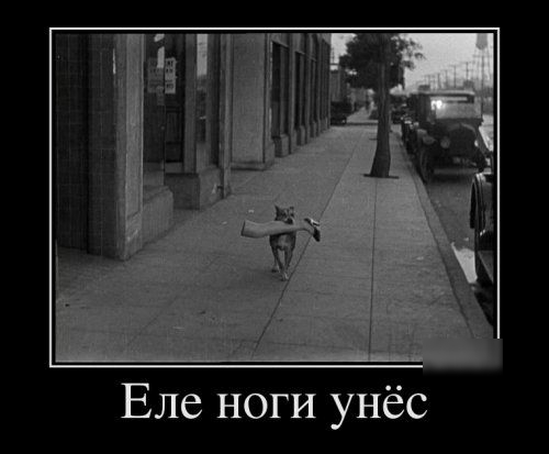 Еле ноги унёс