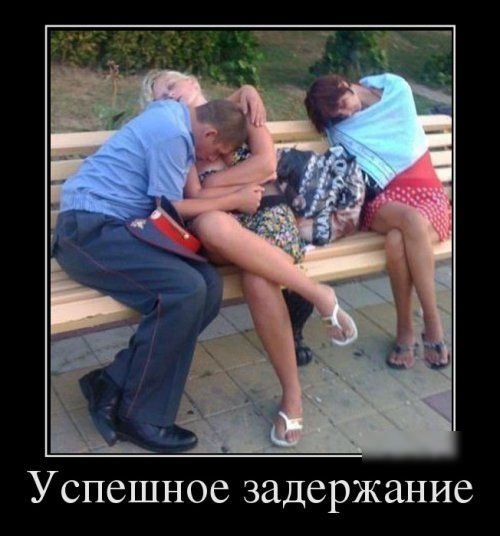 Успешное задержание
