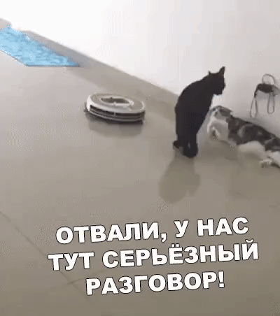 отвдпид УНАС тут серьёзный РАЗГОВОР