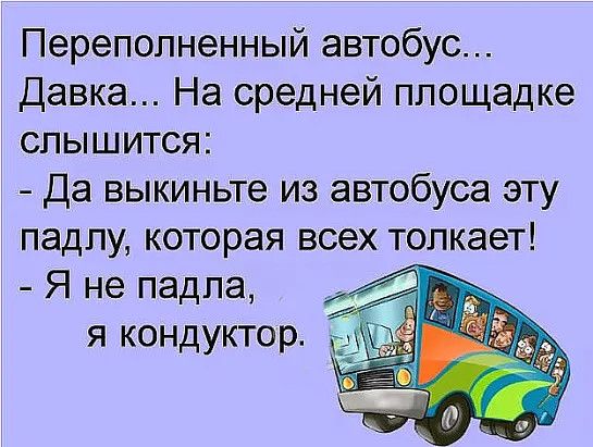 Переполненный автобус Давка На средней площадке слышится Да выкиньте из автобуса эту падпу которая всех толкает Я не падпа я кондуктор г