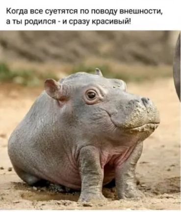Когда все суеппся по поводу внешности а ты родился и сразу красивый