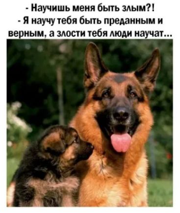 Научишь меня быть злым Я научу тебя быть преданным и вв ным а злости тебя люди на ат