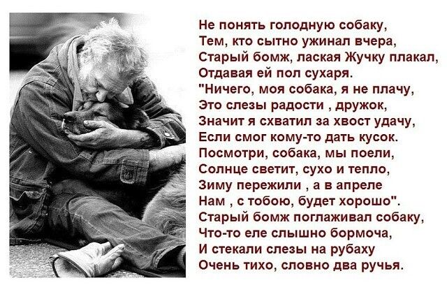 Не понять голодную собаку Тем кто сытно ужинал вчера Старый бомж лаская Жучку плакал Отдавая ей поп оухаря Ничего моя собака я не ппачу это слезы радости дружок ЗНЗЧИТ Я СХЕЗТИП за ХВОСТ удачу ЕСЛИ СМОГ КОМУТО дать кусок Посмотри собака мы поели Солнце светит сухо и тепло Зиму пережили а в апреле Нам с тобою будет хорошо Старый бомж поглаживап собаку Что то еле слышно бормоча И стекали слезы на ру