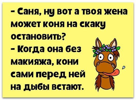 Саня ну вот а твоя жена может коня на скаку остановить Когда она без макияжа кони сами перед ней на дыбы встают