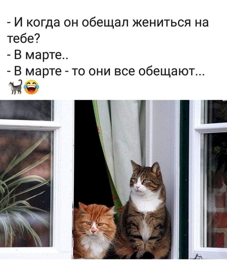 И когда он обещал жениться на тебе В марте В марте то они все обещают