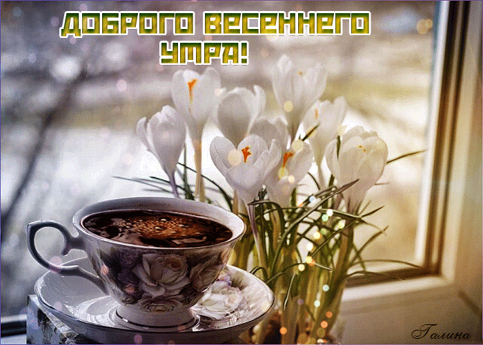 пшёёсв