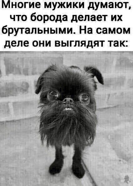 Многие мужики думают что борода делает их брутальными На самом деле они выглядят так